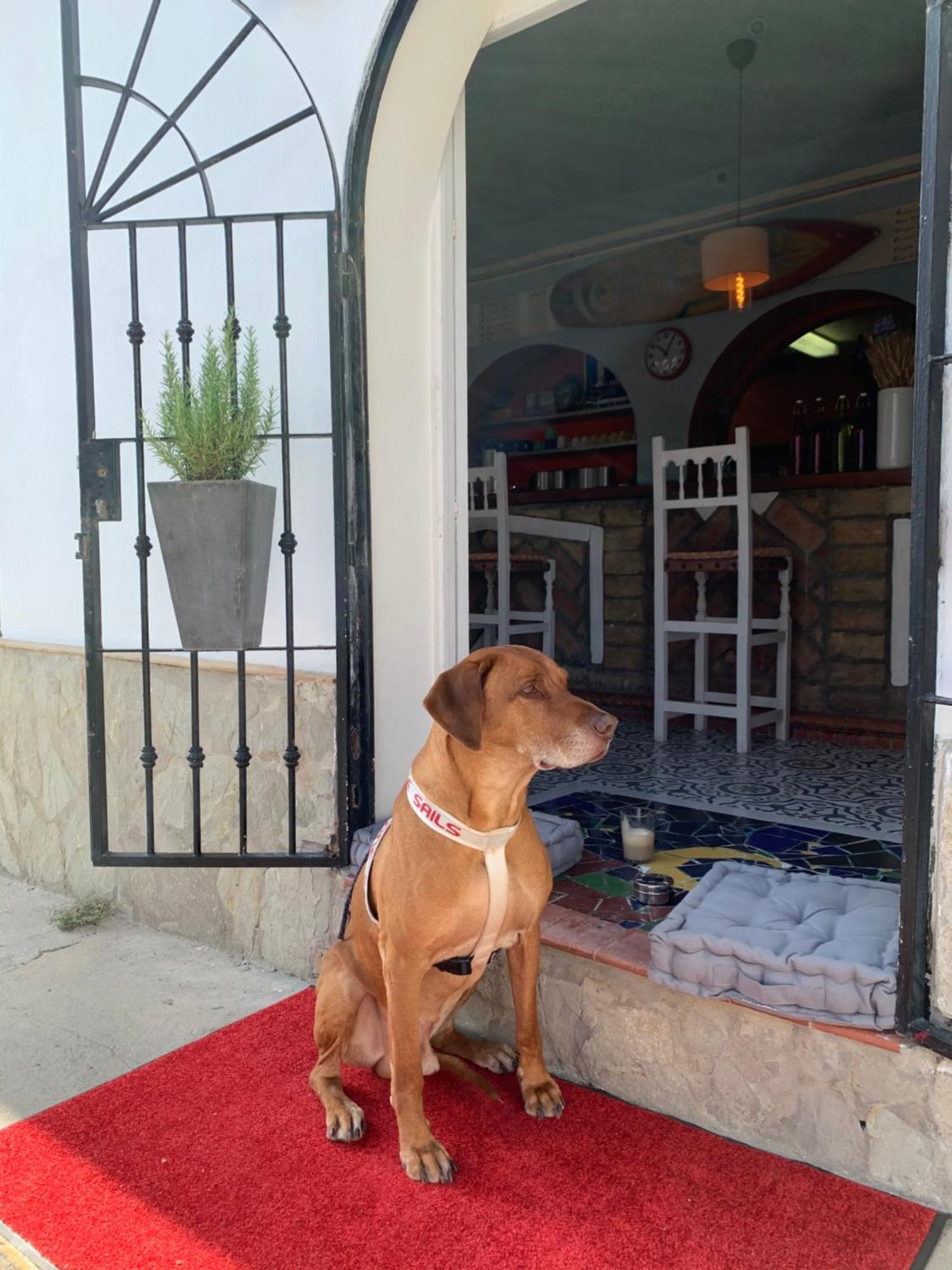 Hotel El Chili Boutique Barbate